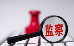 张家慧受贿四千万背后：落马后调查组2天收200余封举报信